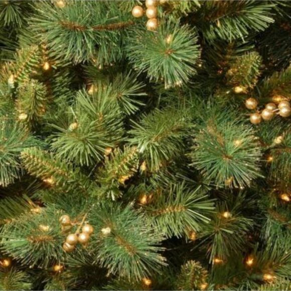 National Tree Company 5 ft. North Valley Spruce Tree with Clear Lights - Picture 2 of 3